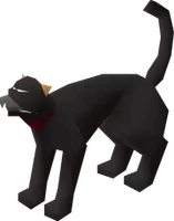 Drunk TCG's avatar: Bob (cat)