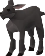 Jibb7's avatar: Lamb